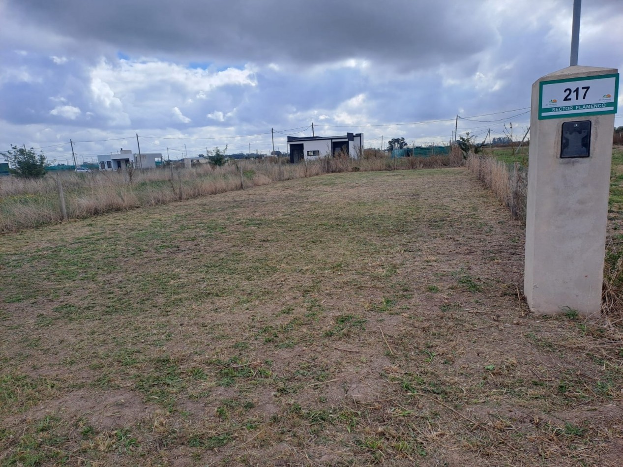 LOTE EN ESQUINA EN LA RESERVA DEL OESTE. 
